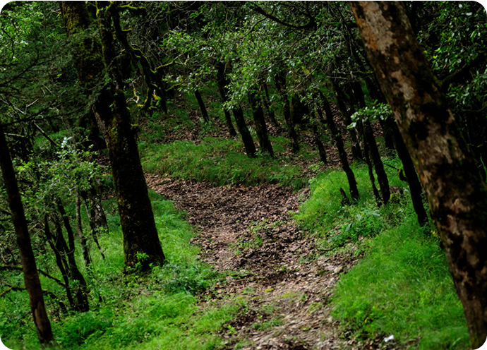 CGMFED office building in Naya Raipur, Chhattisgarh - headquarters of the forest produce cooperative federation